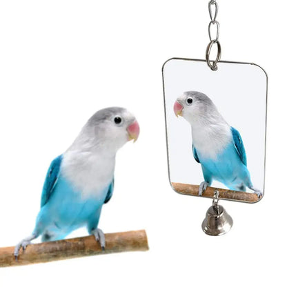 "Mirror, Mirror on the Cage, Who's the Most Fabulous Parakeet in all the Pet Supplies Land?"