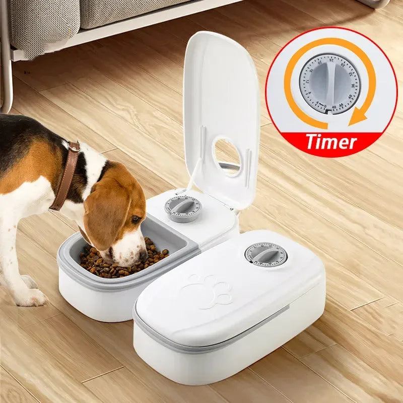 "Mealtime Madness: Electric Double Dish Bowl for Hungry Cats and Dogs!"