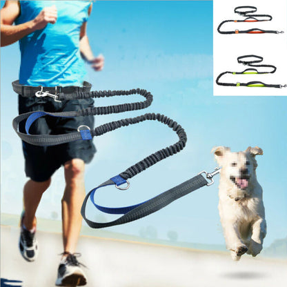 "Mirrored Leash: Because Dogs Deserve to Shine Bright Like a Diamond While Dragging You Along for a Jog"