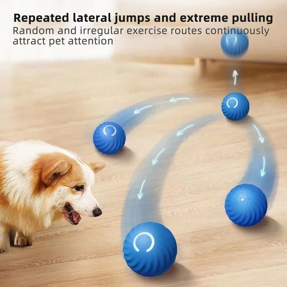 "Robo-Ball: The Ultimate Toy for Pets Who Prefer High-Tech Entertainment Over Chasing Their Own Tails!"