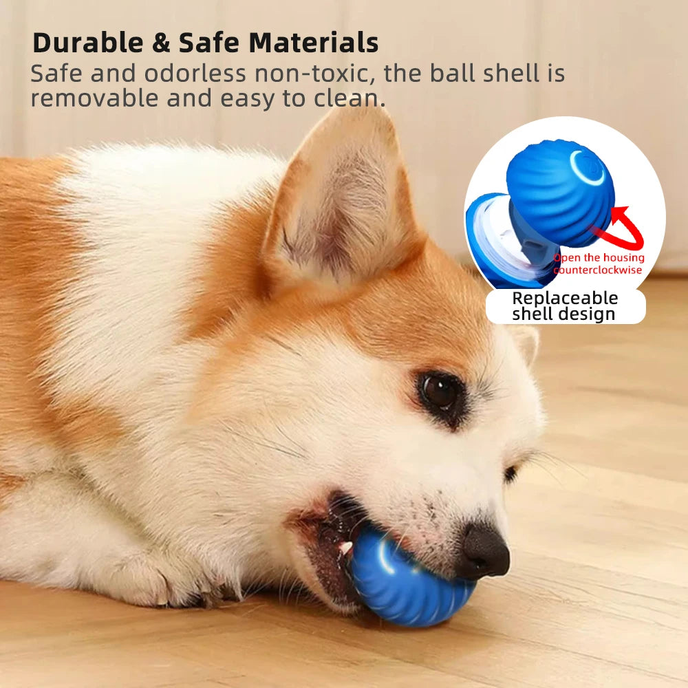 "Robo-Ball: The Ultimate Toy for Pets Who Prefer High-Tech Entertainment Over Chasing Their Own Tails!"