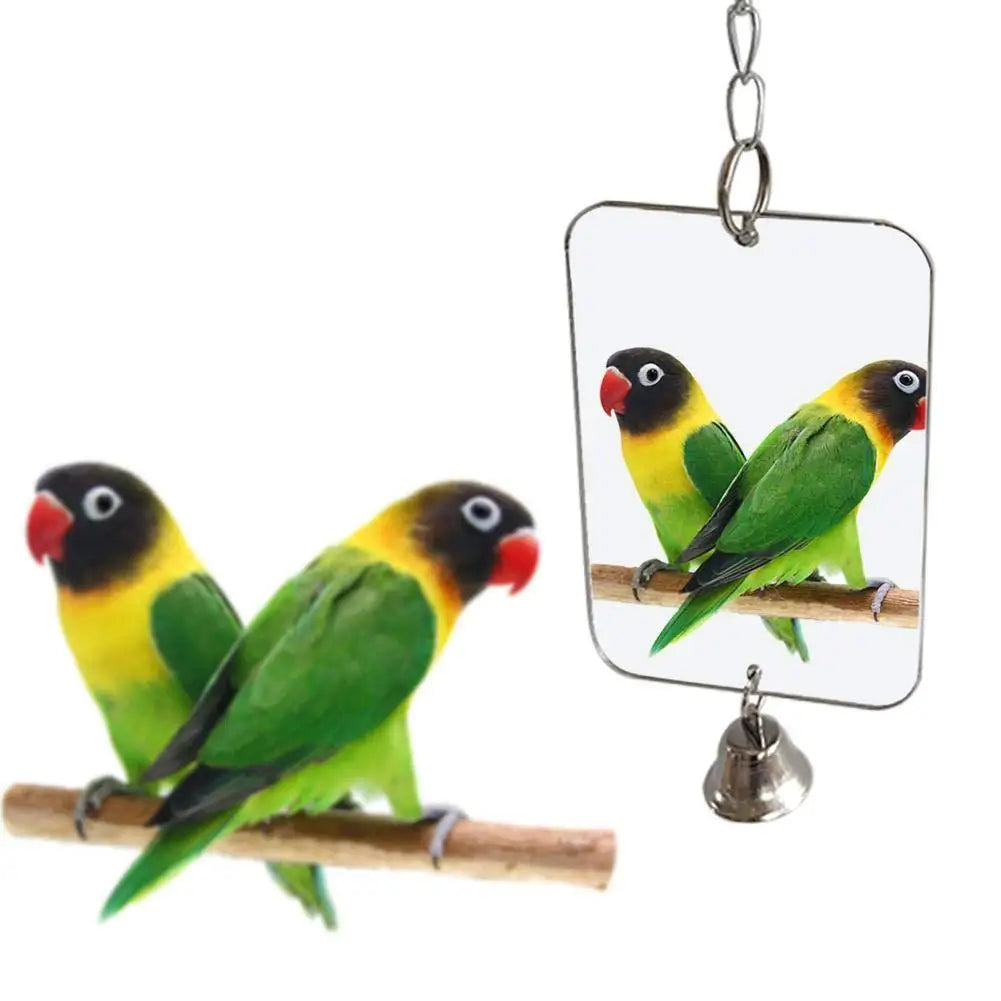 "Mirror, Mirror on the Cage, Who's the Most Fabulous Parakeet in all the Pet Supplies Land?"