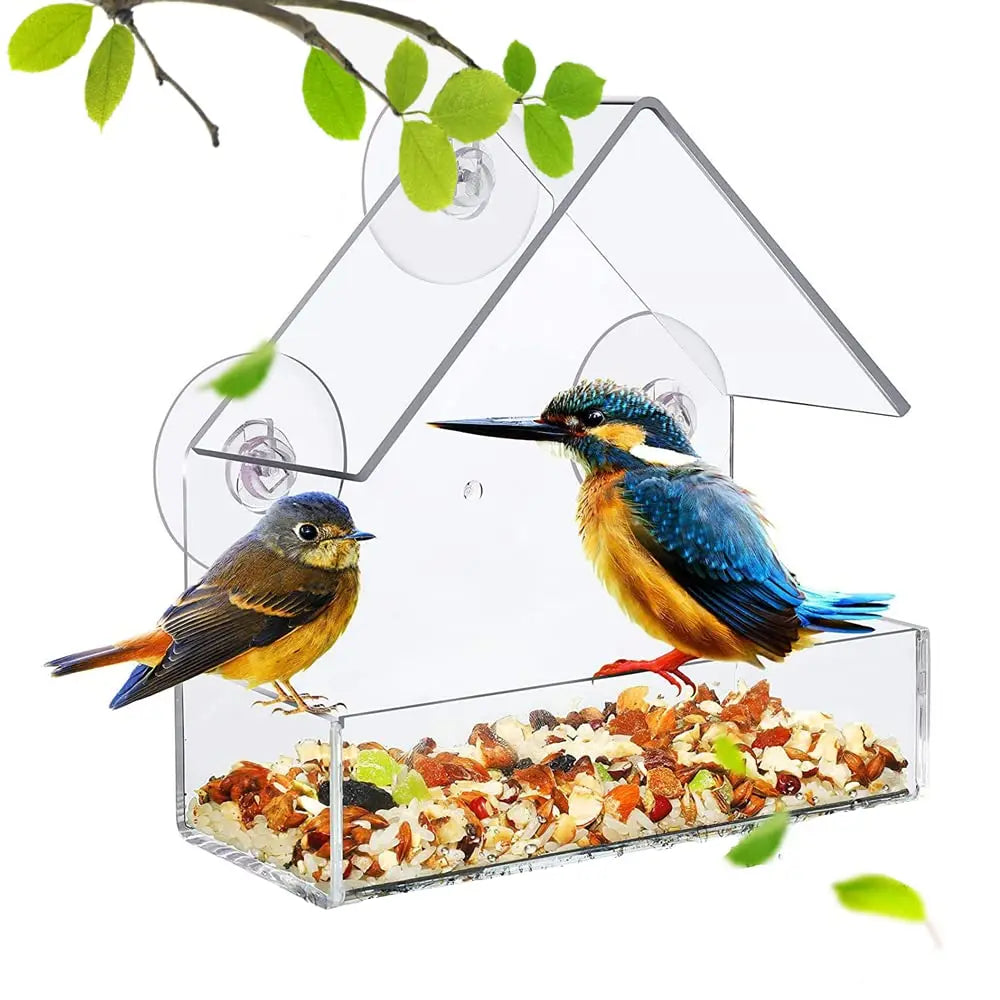 "Wild Bird Buffet: The Ultimate Avian Dining Experience with a View!"