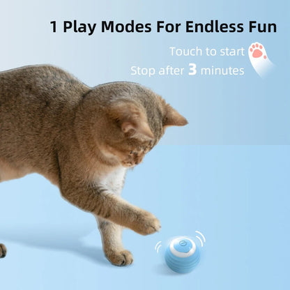 "Magical Rolling Ball of Fun for Smart Cats and Dogs!"