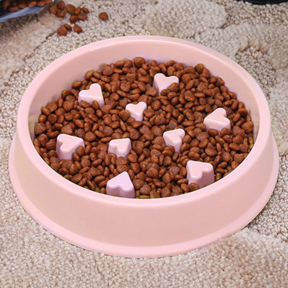 "Snack Time Slo-Mo Bowl: The Ultimate Pet Foodie Challenge!"