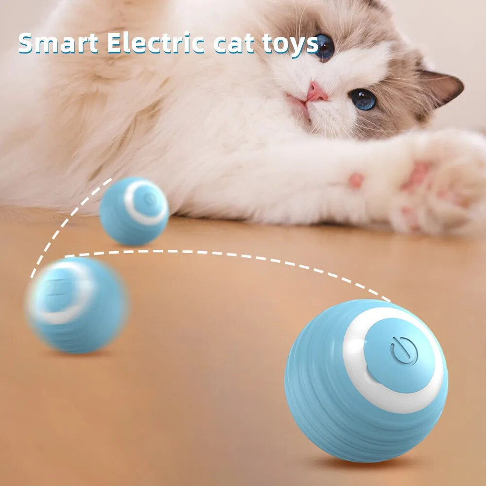 "Magical Rolling Ball of Fun for Smart Cats and Dogs!"