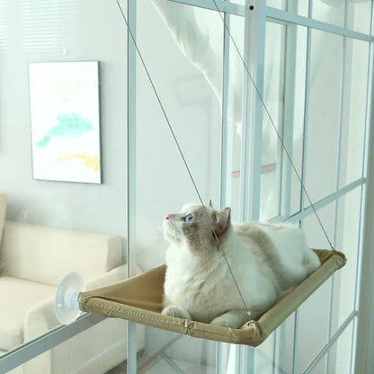 "Feline Paradise: The Ultimate Kitty AirBnB for Lazy Cats Who Like to Hang Around and Look Down on Their Humans - Holds up to 20Kg of Fluffiness!"