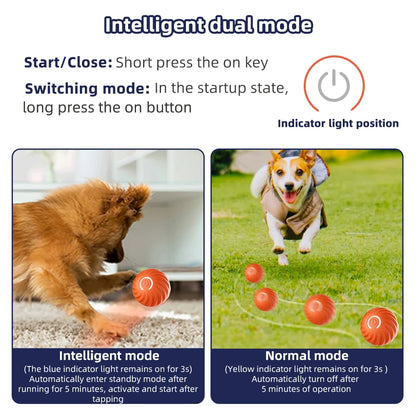 "Robo-Ball: The Ultimate Toy for Pets Who Prefer High-Tech Entertainment Over Chasing Their Own Tails!"