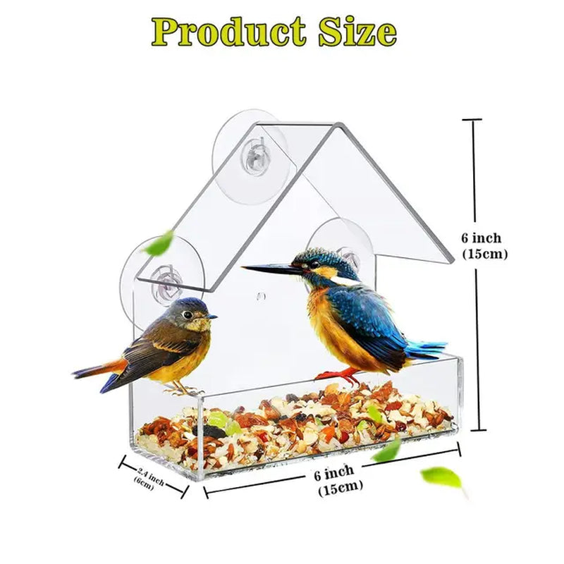 "Wild Bird Buffet: The Ultimate Avian Dining Experience with a View!"