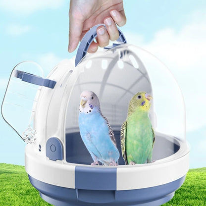 "See-Through Birdy Jetpack: The Ultimate Parrot Purse for Fancy Flyers!"