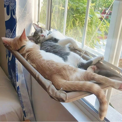 "Feline Paradise: The Ultimate Kitty AirBnB for Lazy Cats Who Like to Hang Around and Look Down on Their Humans - Holds up to 20Kg of Fluffiness!"