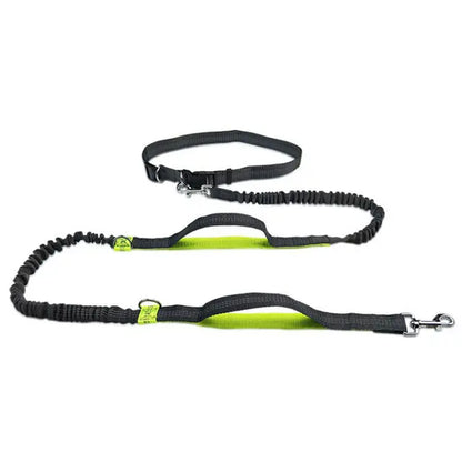 "Mirrored Leash: Because Dogs Deserve to Shine Bright Like a Diamond While Dragging You Along for a Jog"